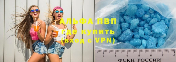 ПСИЛОЦИБИНОВЫЕ ГРИБЫ Богданович